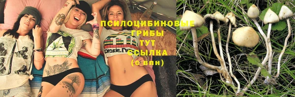 spice Белоозёрский
