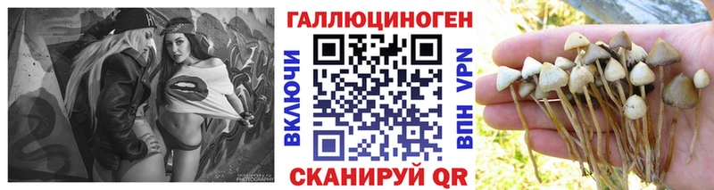 Галлюциногенные грибы мухоморы  дарк нет какой сайт  Верхний Уфалей 