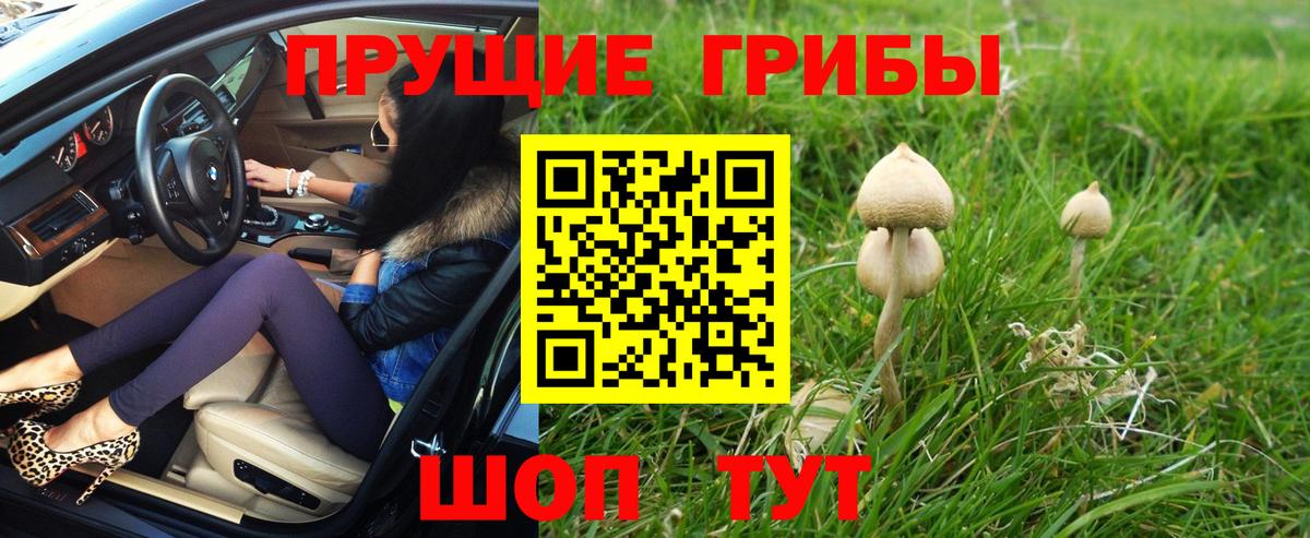 Галлюциногенные грибы Psilocybe Верхний Уфалей